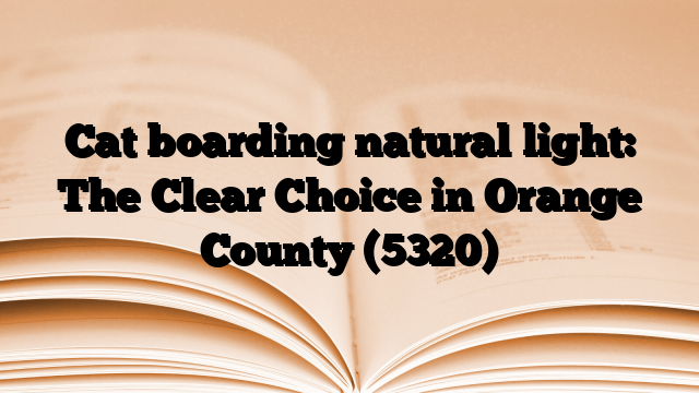 Cat boarding natural light: The Clear Choice in Orange County