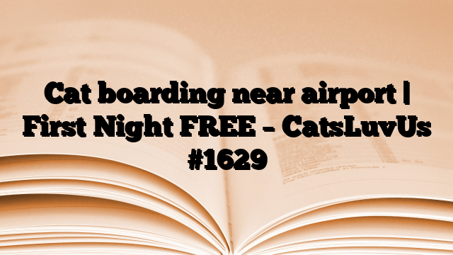 Cat boarding near airport | First Night FREE – CatsLuvUs