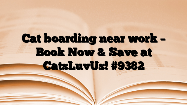 Cat boarding near work – Book Now & Save at CatsLuvUs!