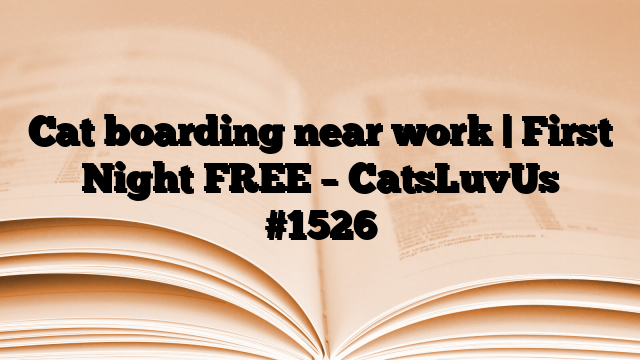 Cat boarding near work | First Night FREE – CatsLuvUs