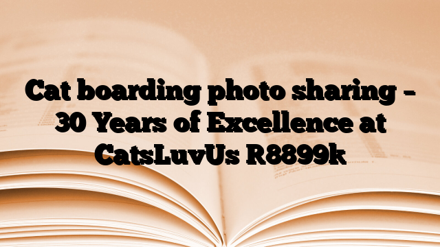 Cat boarding photo sharing – 30 Years of Excellence at CatsLuvUs