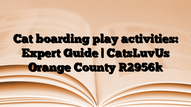 Cat boarding play activities: Expert Guide | CatsLuvUs Orange County