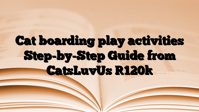 Cat boarding play activities Step-by-Step Guide from CatsLuvUs