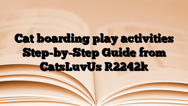 Cat boarding play activities Step-by-Step Guide from CatsLuvUs