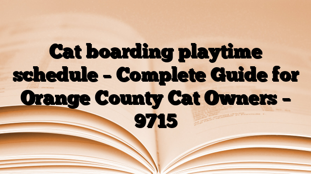Cat boarding playtime schedule – Complete Guide for Orange County Cat Owners
