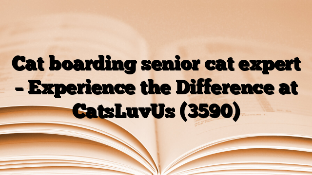 Cat boarding senior cat expert – Experience the Difference at CatsLuvUs