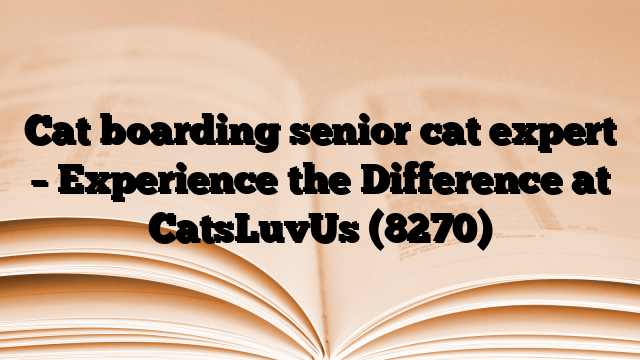 Cat boarding senior cat expert – Experience the Difference at CatsLuvUs
