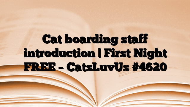 Cat boarding staff introduction | First Night FREE – CatsLuvUs
