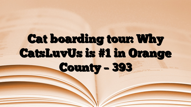 Cat boarding tour: Why CatsLuvUs is #1 in Orange County