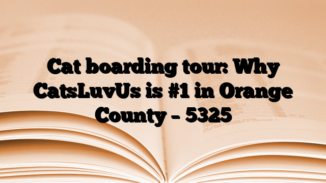 Cat boarding tour: Why CatsLuvUs is #1 in Orange County