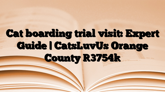 Cat boarding trial visit: Expert Guide | CatsLuvUs Orange County