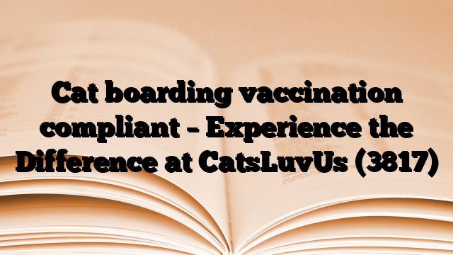 Cat boarding vaccination compliant – Experience the Difference at CatsLuvUs