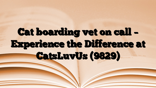 Cat boarding vet on call – Experience the Difference at CatsLuvUs