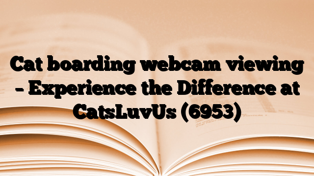 Cat boarding webcam viewing – Experience the Difference at CatsLuvUs