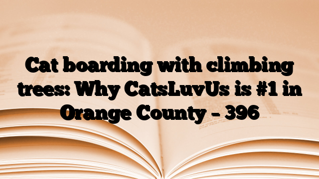 Cat boarding with climbing trees: Why CatsLuvUs is #1 in Orange County