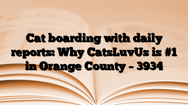 Cat boarding with daily reports: Why CatsLuvUs is #1 in Orange County