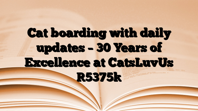 Cat boarding with daily updates – 30 Years of Excellence at CatsLuvUs