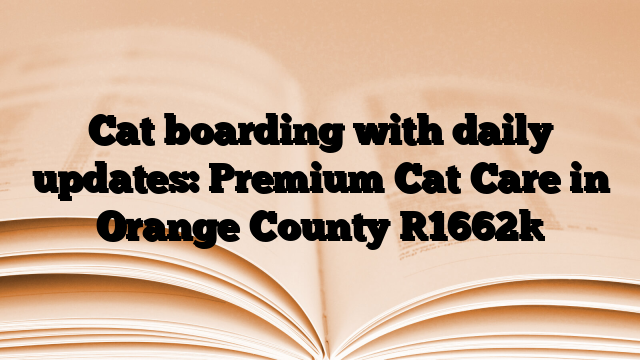 Cat boarding with daily updates: Premium Cat Care in Orange County