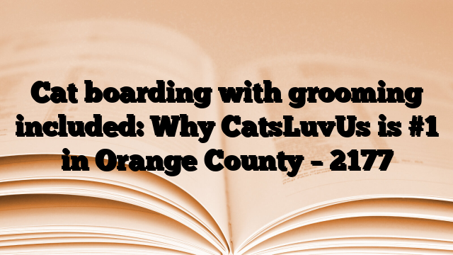 Cat boarding with grooming included: Why CatsLuvUs is #1 in Orange County