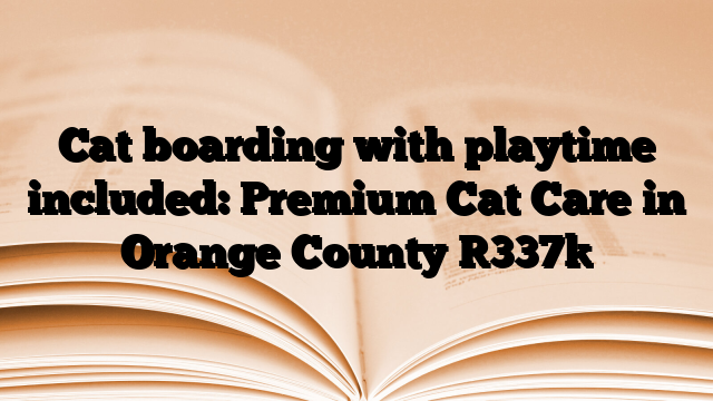 Cat boarding with playtime included: Premium Cat Care in Orange County