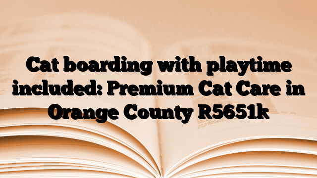 Cat boarding with playtime included: Premium Cat Care in Orange County