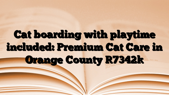 Cat boarding with playtime included: Premium Cat Care in Orange County