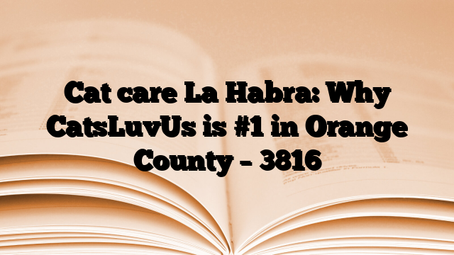 Cat care La Habra: Why CatsLuvUs is #1 in Orange County