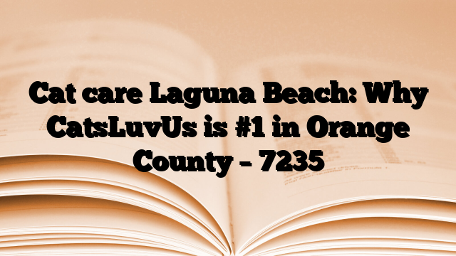 Cat care Laguna Beach: Why CatsLuvUs is #1 in Orange County