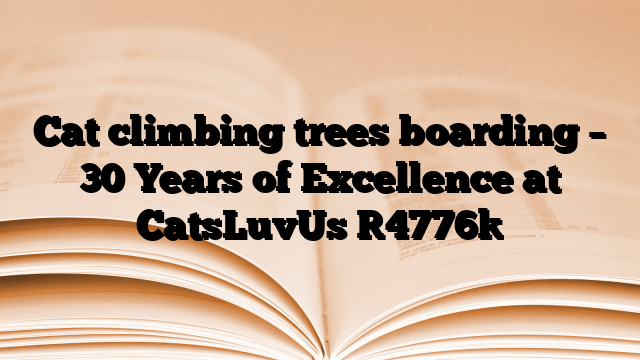 Cat climbing trees boarding – 30 Years of Excellence at CatsLuvUs