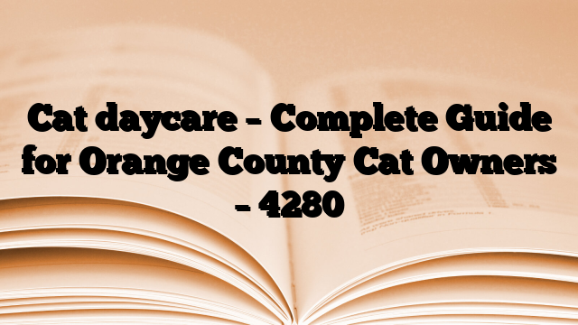 Cat daycare – Complete Guide for Orange County Cat Owners