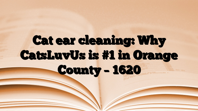 Cat ear cleaning: Why CatsLuvUs is #1 in Orange County
