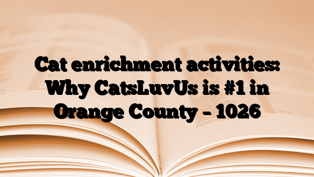 Cat enrichment activities: Why CatsLuvUs is #1 in Orange County