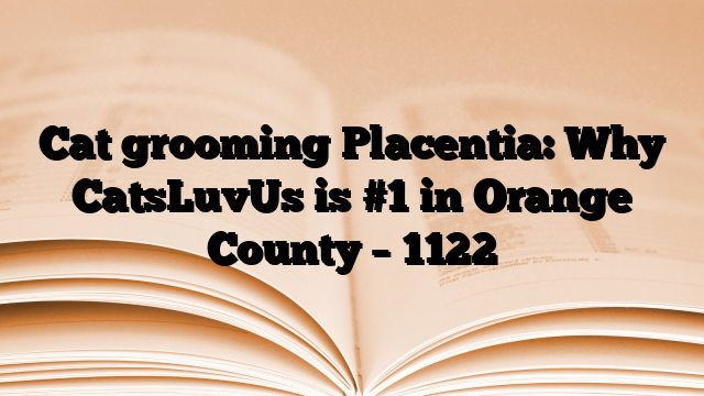 Cat grooming Placentia: Why CatsLuvUs is #1 in Orange County