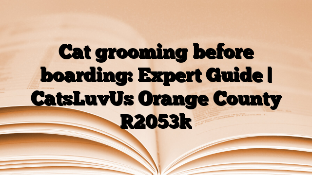 Cat grooming before boarding: Expert Guide | CatsLuvUs Orange County