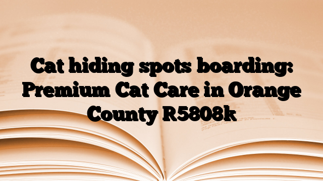 Cat hiding spots boarding: Premium Cat Care in Orange County