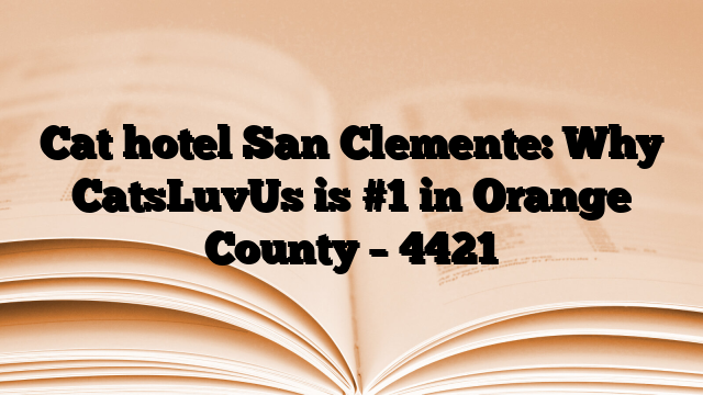 Cat hotel San Clemente: Why CatsLuvUs is #1 in Orange County