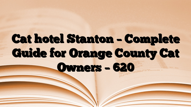 Cat hotel Stanton – Complete Guide for Orange County Cat Owners