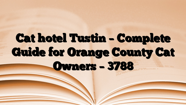 Cat hotel Tustin – Complete Guide for Orange County Cat Owners