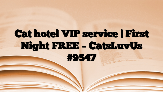 Cat hotel VIP service | First Night FREE – CatsLuvUs