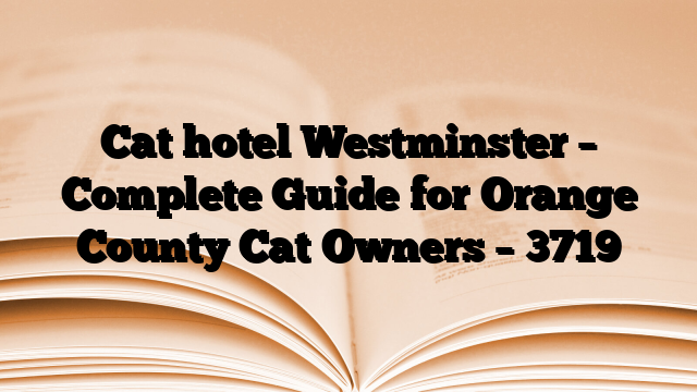 Cat hotel Westminster – Complete Guide for Orange County Cat Owners