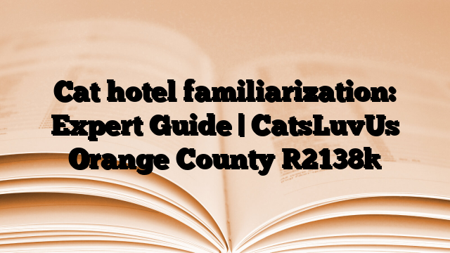 Cat hotel familiarization: Expert Guide | CatsLuvUs Orange County