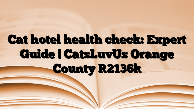 Cat hotel health check: Expert Guide | CatsLuvUs Orange County