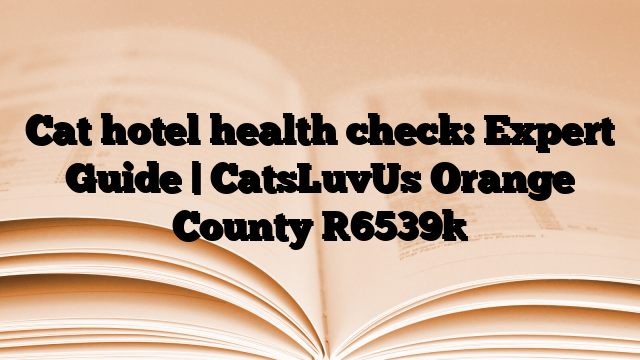 Cat hotel health check: Expert Guide | CatsLuvUs Orange County