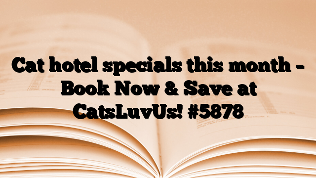 Cat hotel specials this month – Book Now & Save at CatsLuvUs!