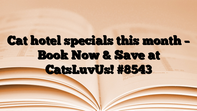 Cat hotel specials this month – Book Now & Save at CatsLuvUs!