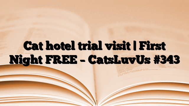 Cat hotel trial visit | First Night FREE – CatsLuvUs
