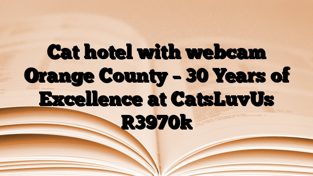 Cat hotel with webcam Orange County – 30 Years of Excellence at CatsLuvUs