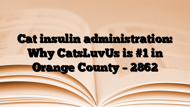 Cat insulin administration: Why CatsLuvUs is #1 in Orange County