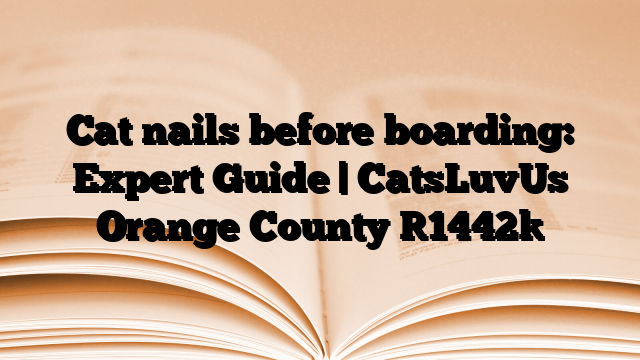 Cat nails before boarding: Expert Guide | CatsLuvUs Orange County