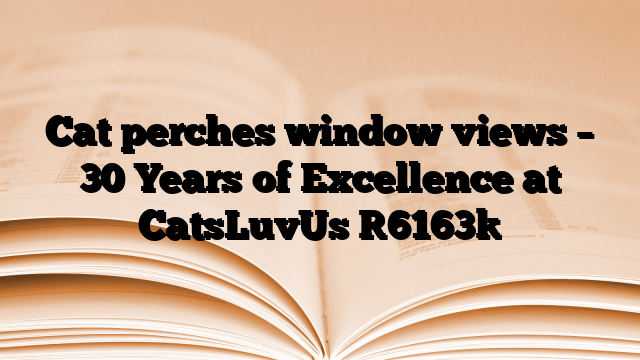 Cat perches window views – 30 Years of Excellence at CatsLuvUs